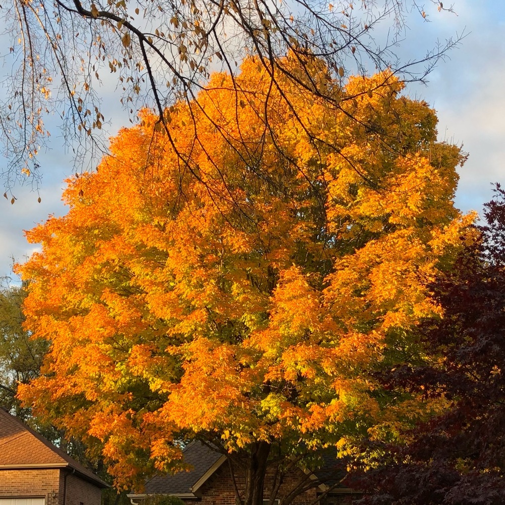 Meet your Posher, Annette